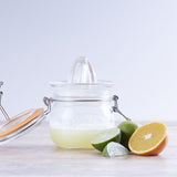 Glass Juicer Jar Set for Citrus Juice | 500ml image 2