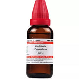 Dr. Willmar Schwabe India Gaultheria Procumbens Dilution image 1