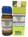 SBL Sarracenia Purpurea Dilution 12CH (30ml) – Homeopathic Support for Wellness image 1