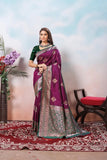 Traditional Soft Silk Jacquard Border Contras Sari With Blouse 11-VF image 8