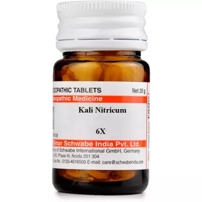 Dr. Willmar Schwabe India Kali Nitricum Trituration Tablets image 1