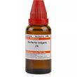 Dr. Willmar Schwabe India Berberis Vulgaris Mother Tincture Q image 1
