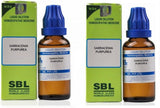 Sbl Homeopathy Sarracenia Purpurea (30 Ml) (1000 Ch) Pack Of 2 image 1