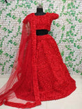 Premium Net With Heavy Riboon Flower Lehenga Blouse With Dupatta image 1