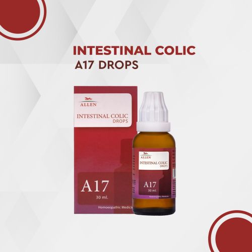 Allen Homeopathy A17 Intestinal Colic Drops image 1
