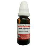 Dr Willmar Schwabe Germany Serum Anguillae Dilution 6X - 20 ml image 1