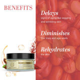 Khadi Natural Anti Ageing Cream, 50g Prevent premature signs of aging Reduce wrinkles and spots Rehydrates skin Suitable for All Skin Types image 2