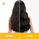 Matrix Biolage Smoothproof Camellia Shampoo - 200 ml image 2