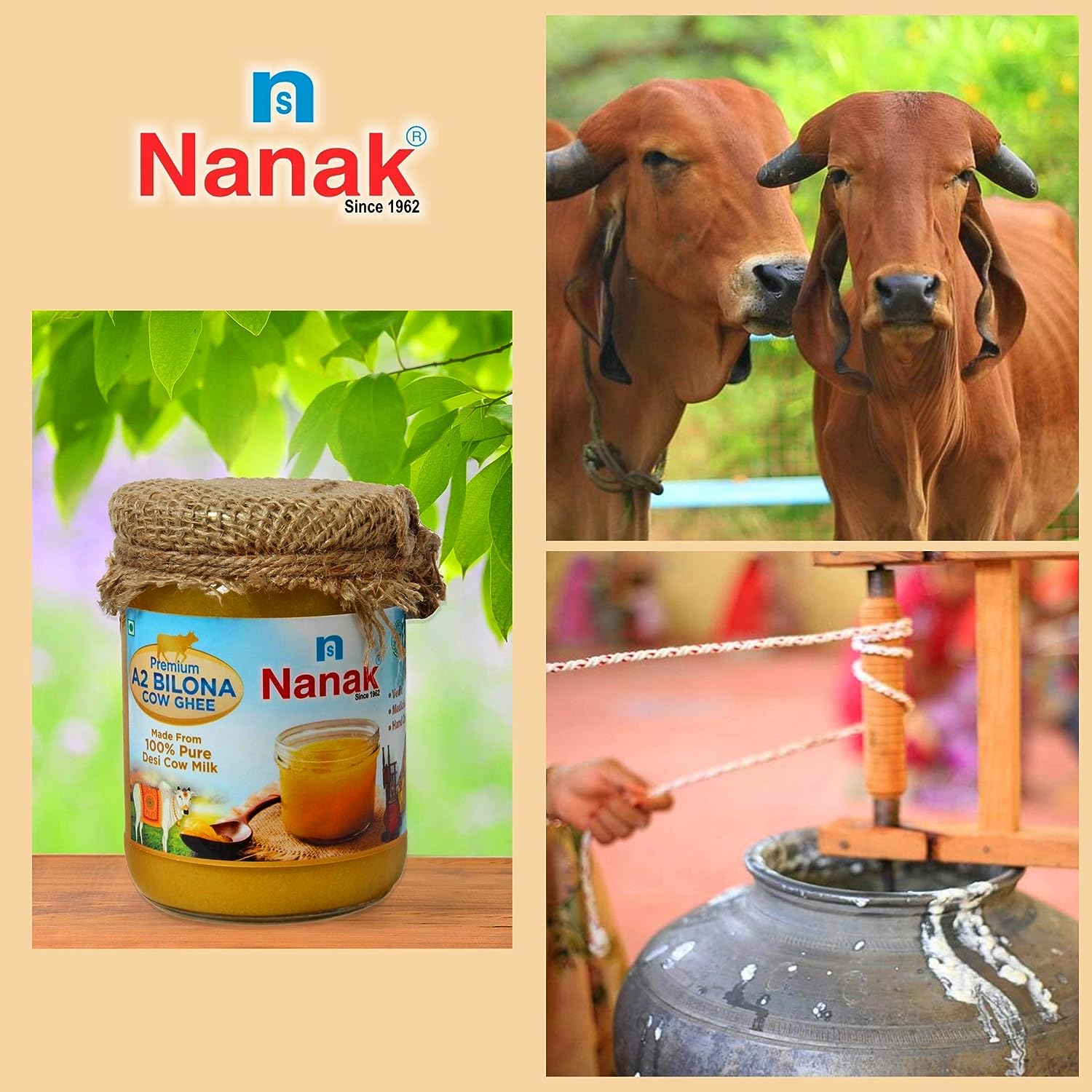 Nanak Desi A2 Bilona Cow Ghee - 500ml (Hand Churned, Vedic) - 500 ML image 2