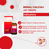 Allen Homeopathy A37 Renal Calculi Drops image 2
