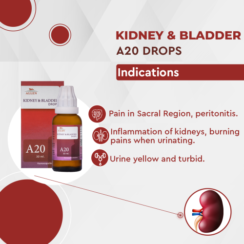 Allen Homeopathy A20 Kidney and Bladder Drops image 2