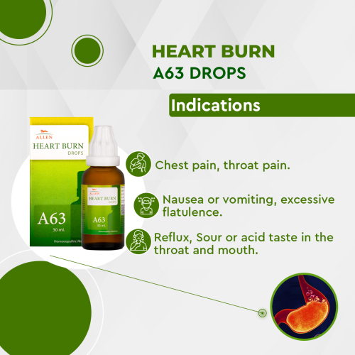 Allen Homeopathy A63 Heart Burn Drops image 2