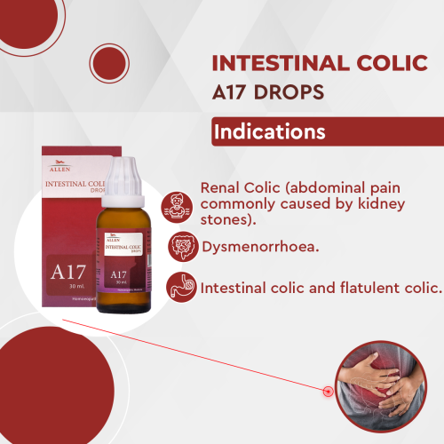 Allen Homeopathy A17 Intestinal Colic Drops image 2