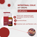 Allen Homeopathy A17 Intestinal Colic Drops image 2