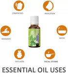 Ae Naturals Basil Essential Oil image 3