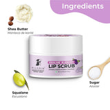 Pilgrim Squalane Blueberry Lip Scrub - 8 gm image 3