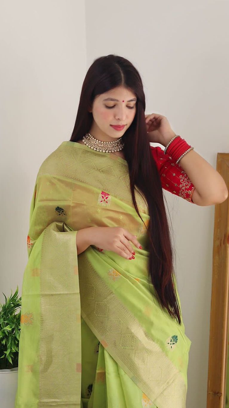 Women's Soft organza Saree With Blouse image 2