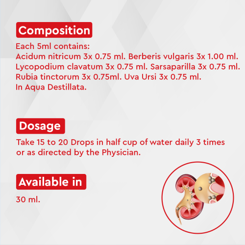Allen Homeopathy A37 Renal Calculi Drops image 3