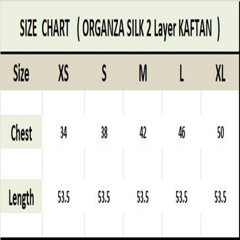 Beachwear Organza Silk Luxury Wear Modern Fashion Wear Women Kaftan J5797 image 4