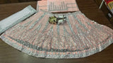Soft Mono Net Embroidery Work Lehenga Blouse & Dupatta image 4