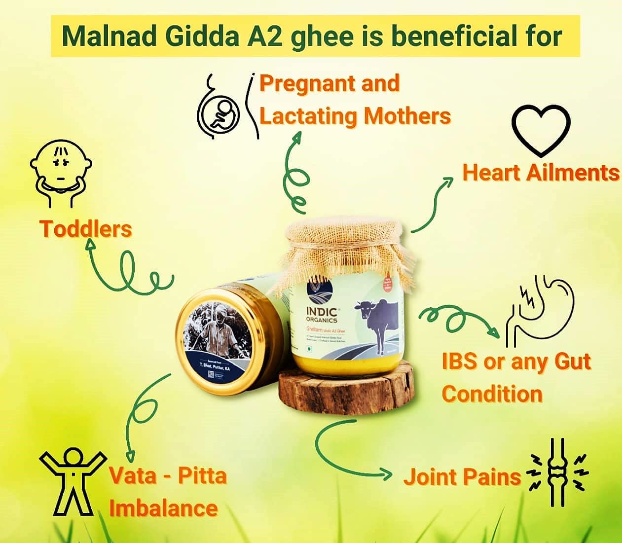 Indic Organics Forest Grazing Malnad Gidda Desi Cow's A2 Ghee - 500 ml - Pack of 1 image 4