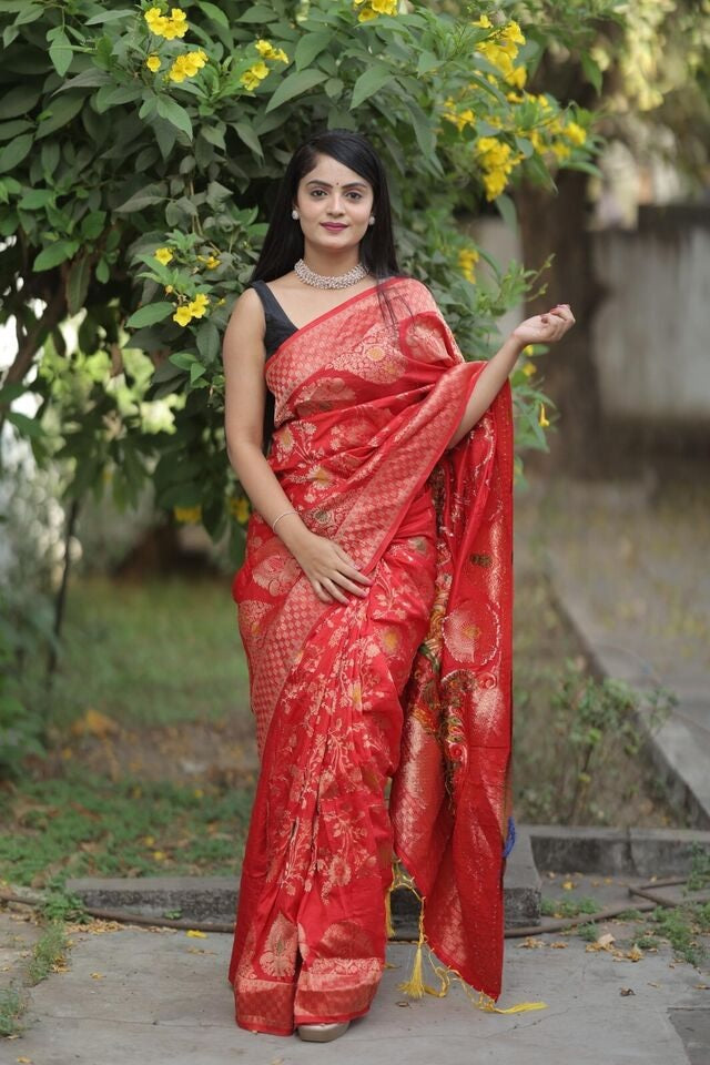Soft Dola Fabric With Rich Pallu Saree image 4