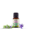 Pilgrim Spanish Rosemary Oil  Hair Strengthening 10ml image 1
