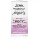 Dr. Willmar Schwabe India Alpha DP Tablet image 2