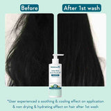 WishCare Hydrating AHA BHA Anti Dandruff Shampoo 250ml image 5