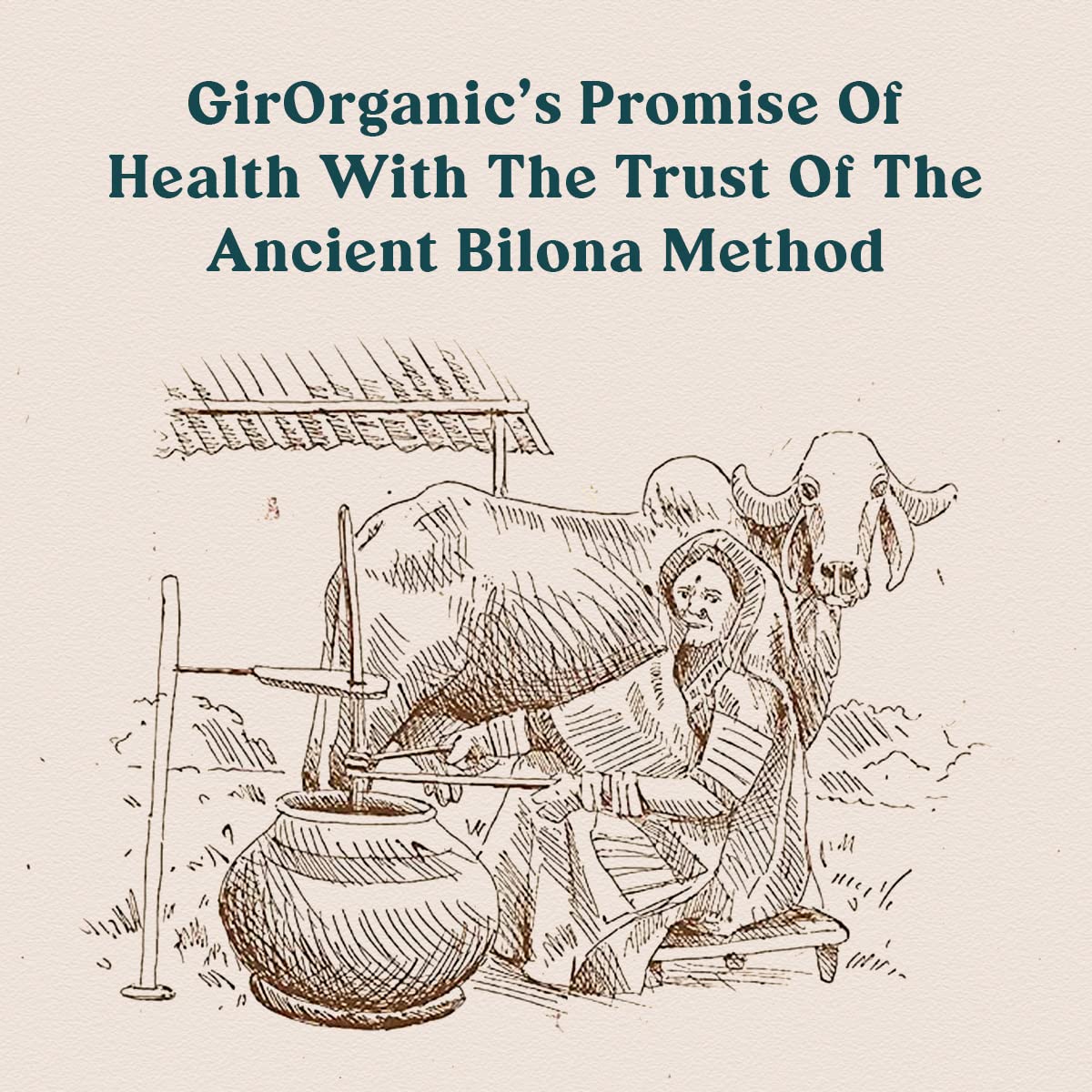 Gir Organic A2 Gir Cow Ghee - 500 gm image 5