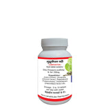 Basic Ayurveda Guduchi (Giloy) Ghan Vati – 60 Tablets image 2