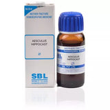 SBL Homeopathy Aesculus Hippocast Mother Tincture Q image 2