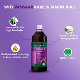 Baidyanath Vansaar Karela & Jamun Juice - 1 Liter image 2