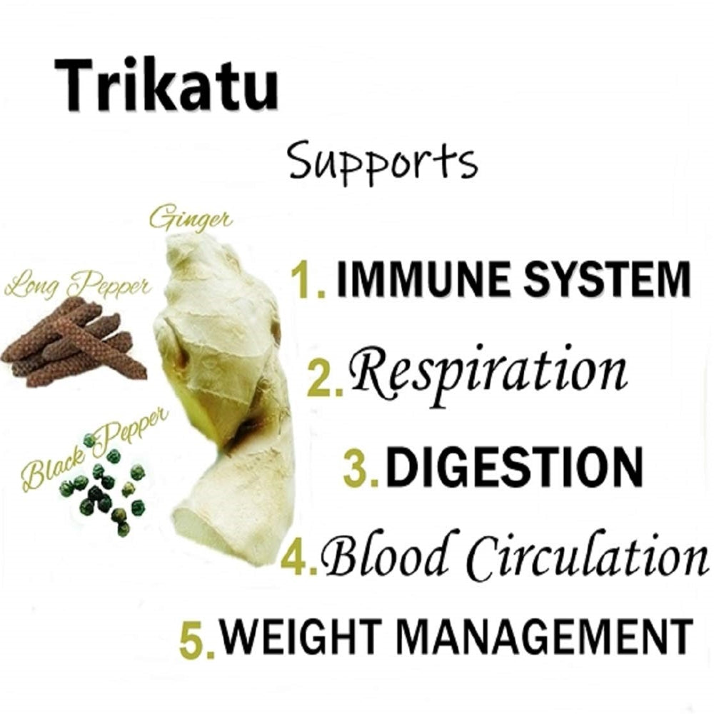 Himalaya Pure Herbs Trikatu Digestive Wellness - 60 tabs image 3