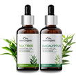Aravi Organic  Tea Tree And Eucalyptus Essential Oil 15 ml image 1