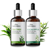Aravi Organic  Tea Tree And Eucalyptus Essential Oil 15 ml image 1