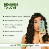 Plum Avocado & Argan Frizz Control Shampoo - 250 ML image 2