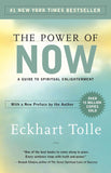 The Power Of Now image 1