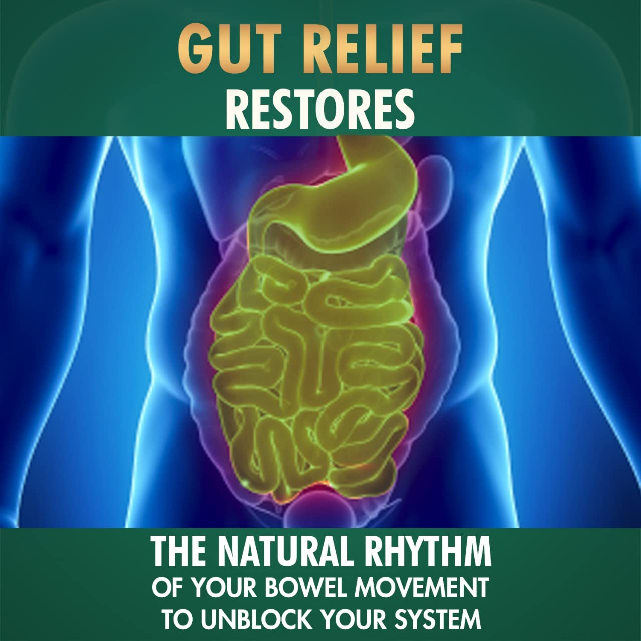 Baidyanath Vansaar Gut Relief Powder Sugar Free image 3