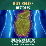 Baidyanath Vansaar Gut Relief Powder Sugar Free image 3
