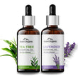 Aravi Organic  Tea Tree And Lavender Essential Oil For Healthy Hair and Skin - For Women and Men -15 ml image 1