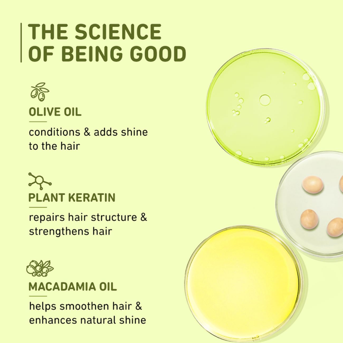 Plum Olive Hair Mask For Damaged Hair Coloured Hair, Salon Treated Hair :-250Gm image 4
