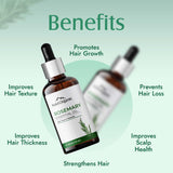 Aravi Organic  Rosemcary And Peppermint Essential Oil For Hair- 15 ml image 3
