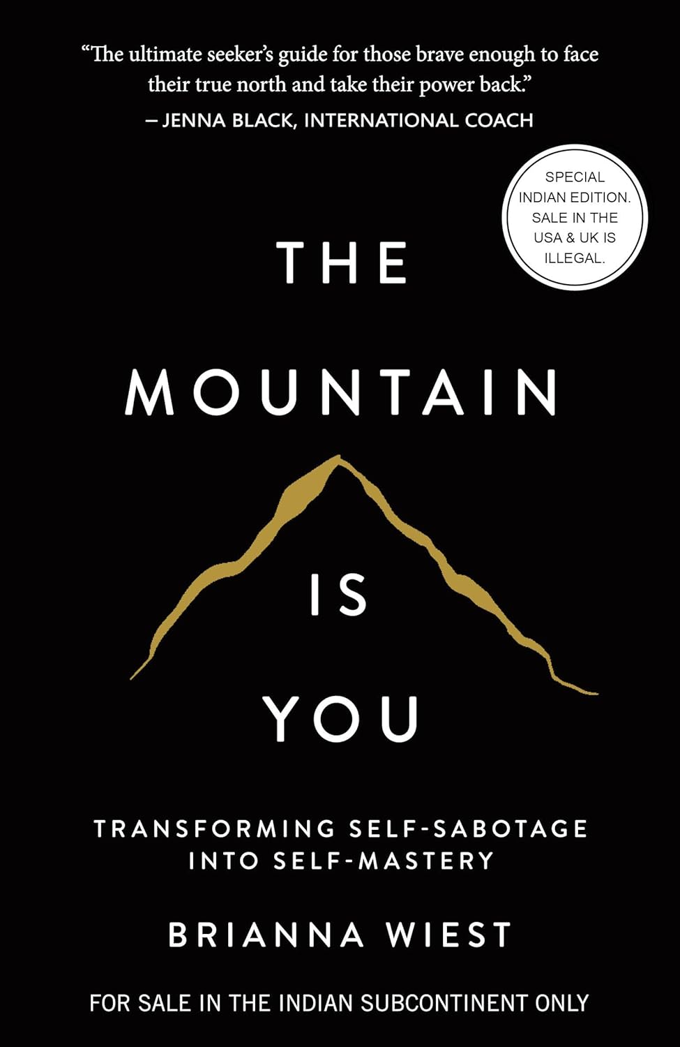 101 Essays + This is How You Heal + Mountain + The Pivot Year (COMBO BOOKS SET) (S) image 5