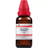 Dr. Willmar Schwabe India Anacardium Orientale Mother Tincture Q image 1