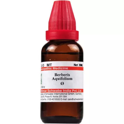 Dr. Willmar Schwabe India Ilex Aquifolium Mother Tincture Q image 1