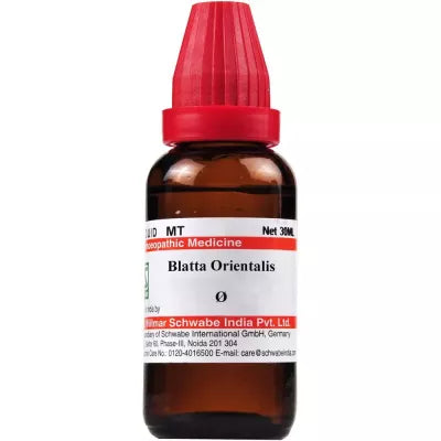 Dr. Willmar Schwabe India Blatta Orientalis Mother Tincture Q image 1