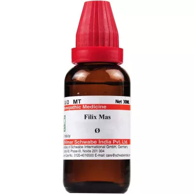 Dr. Willmar Schwabe India Filix Mas Mother Tincture Q image 1