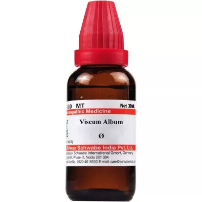 Dr. Willmar Schwabe India Viscum Album Mother Tincture Q image 1