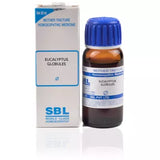 SBL Homeopathy Eucalyptus Globules Mother Tincture Q image 2